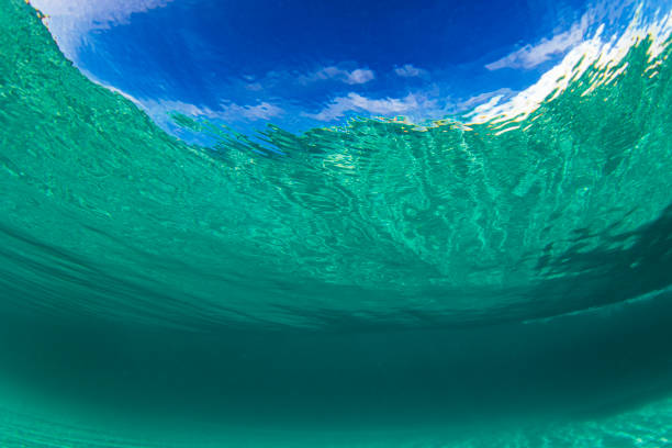 istock Swimming beneath a wave in crystal clear ocean water at the beach 1697309336