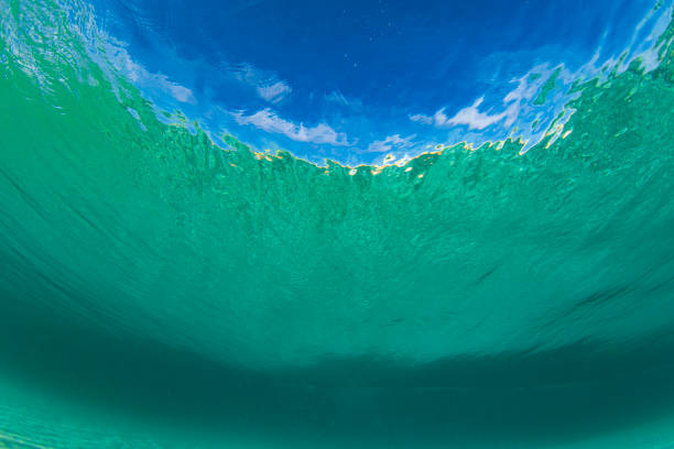 istock Swimming beneath a wave in crystal clear ocean water at the beach 1697309898