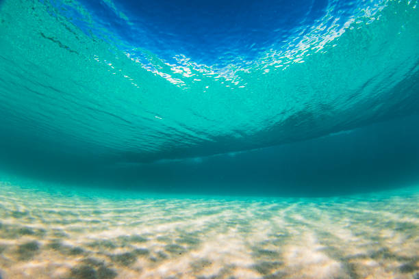 istock Underwater view beneath a wave breaking on sand in crystal clear water 1697310944