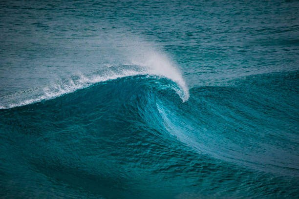 istock Perfect curling ocean wave breaking on the beach 1697314301