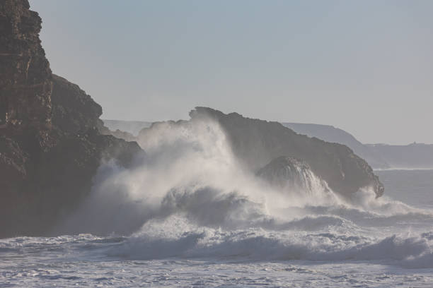 istock Big ocean waves crash against rocks 1697320296