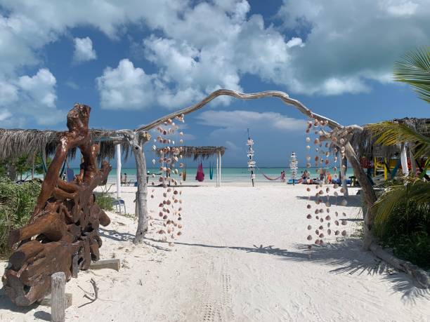 istock Seashell Beach Entrance on The Caribbean 1697328925