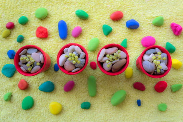 Four small painted plant pots among colorful stones, top view