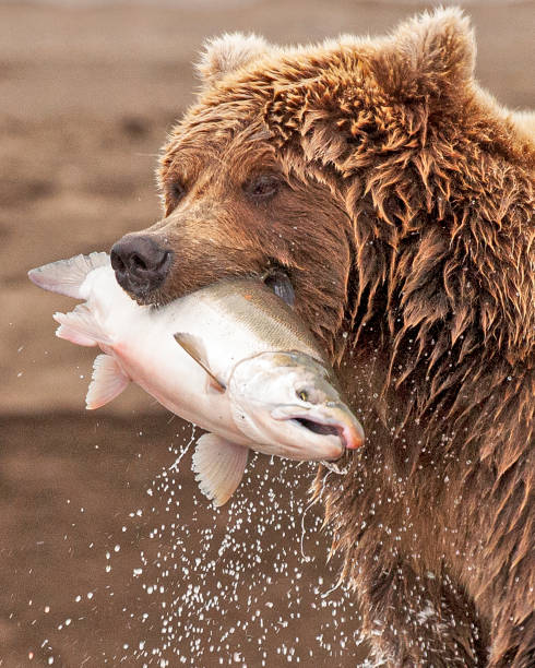 Catch of the Day