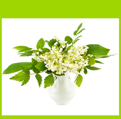 Bouquet of lilies of the valley in a vase isolated on a white background.