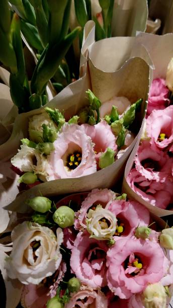 istock at the flower shop 1697409872