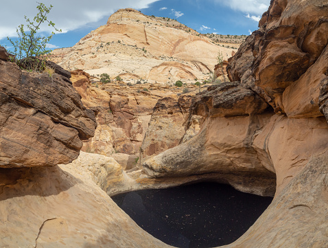 Capitol Reef National Park filled with cliffs, canyons, domes, and bridges, red rock country desert, Utah, United States