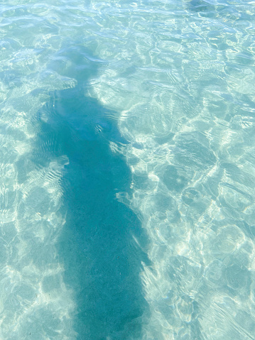 Surface of blue swimming pool. Background of water in swimming pool. Palm shadow on pool water.