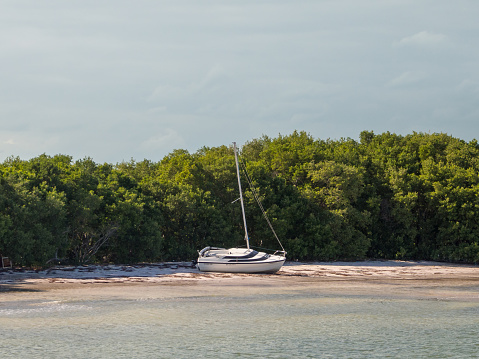 Yacht ashore, shipwreck, parked boat on a beach on Holbox island in Mexico, forest jungle
