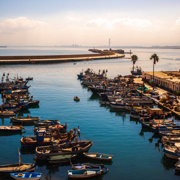 istock Fishing port of Algiers - Algeria 1697514035