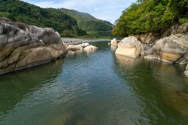 istock Beautiful rainforest river with exotic stones 1697522815