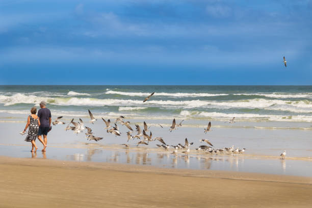 istock Elderly couple enjoying the beach 1697530432