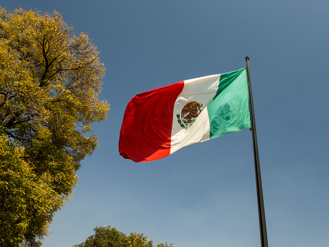 United Mexican States (Estados Unidos Mexicanos) flag
