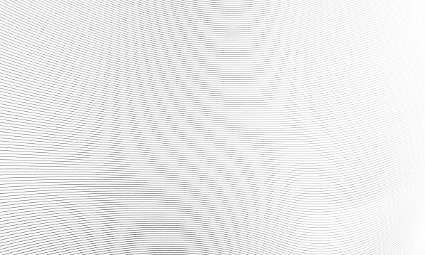 istock Elegant abstract smooth gray waves background. Vector Illustration of the gray lines abstract background. 1697588674