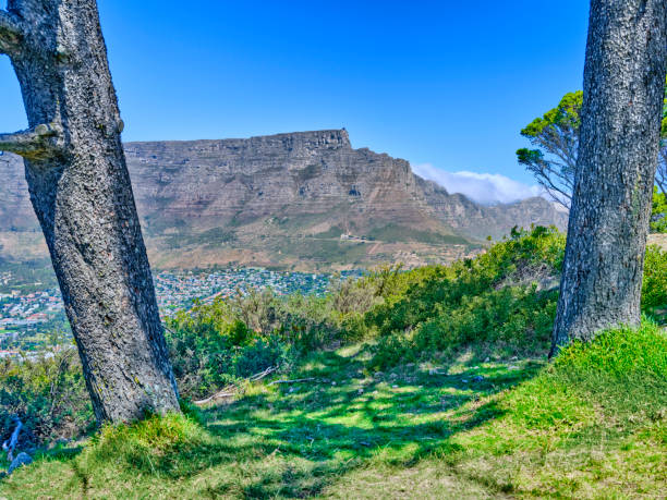 Table Mountain - South Africa stock photo