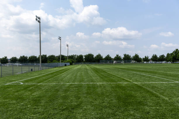 istock Empty soccer field with blue sky - trees in background 1697617825