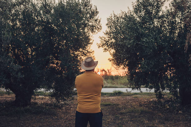 istock The farmer controls the olive grove 1697619459