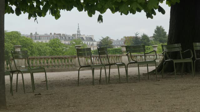 chairs near tree in Jardin Du Luxembourg in Paris, France