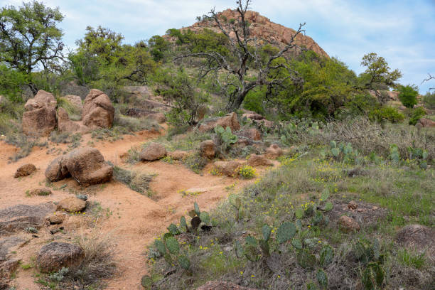 istock Granite mountain scenery found at the Enchanted Rock State Park, Texas 1697641484