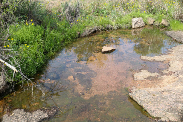 istock A Mountian Spring found at the Enchanted Rock State Park, Texas 1697643126