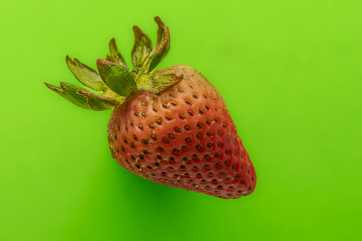 Whole strawberry in closeup