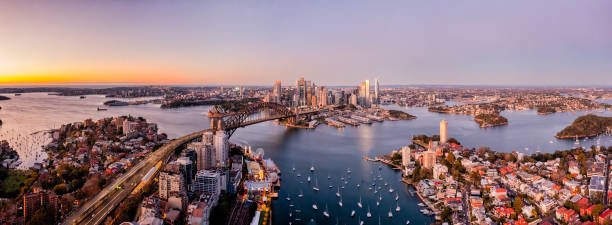 istock D Sydney Lavender High Rise Pan 1697659737