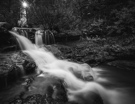 Dense forest - Waterfall sunrise in black and white