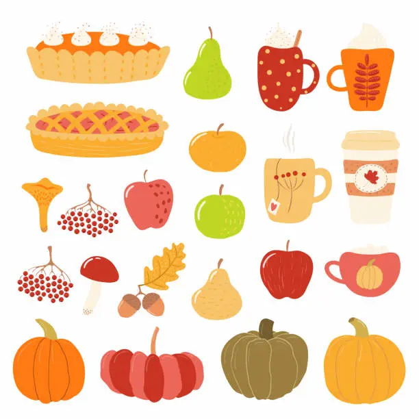 Vector illustration of Big autumn set with rowan, acorns, mushrooms, pumpkins, apples, pears, pies, mugs. Isolated objects on white background. Hand drawn vector illustration. Flat style design. Concept for season change
