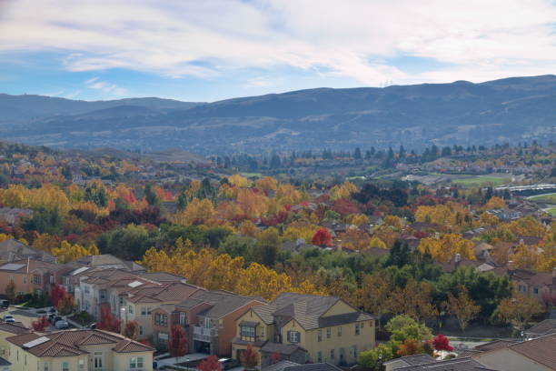 istock Sycamore trees in San Ramon Valley during Autumn 1697881296