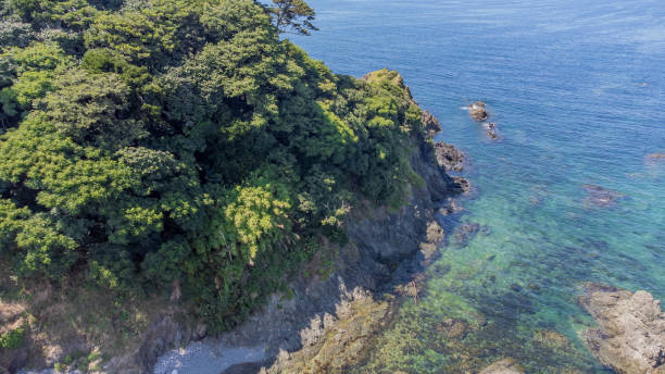40+ Takahama Fukui Stock Photos, Pictures & RoyaltyFree Images iStock