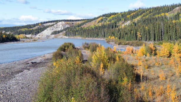 istock Fall Colors Along the Copper River in Interior Alaska 1697959606
