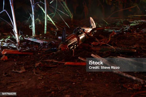 Plane Crash Forest Stock Photo - Download Image Now - Accidents and Disasters, Air Vehicle, Airplane