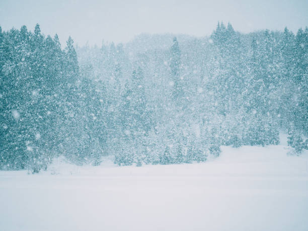 Heavy snow stock photo