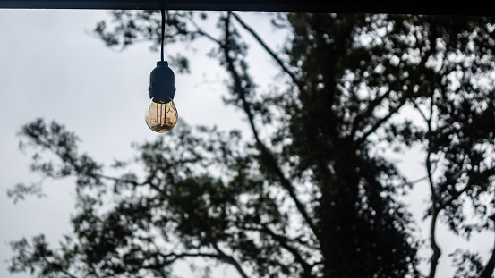 beautiful light bulb against the background of trees and cloudy sky