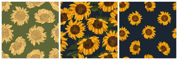 Vector illustration of Set of seamless patterns with blooming sunflowers. Colorful modern flat vector illustration.
