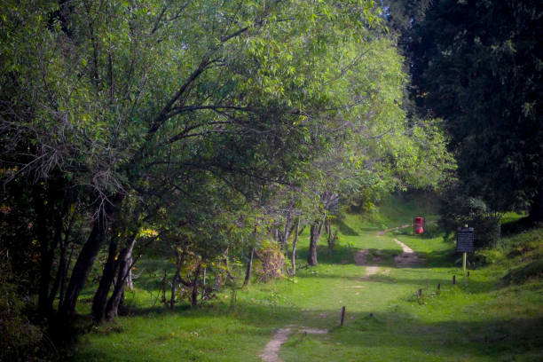 istock Beautiful lush green tracking path mountains - for Exercise and Walk 1698069575