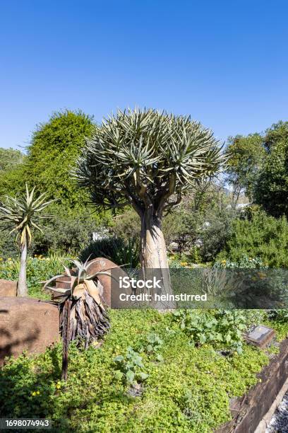 Babylonstoren Wine Farm South Africa Stock Photo - Download Image Now - Agriculture, Architecture, Bakery