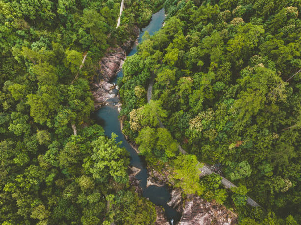 istock Overlooking the waterfall in the forest 1698082411