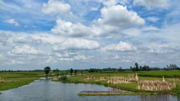 istock Green rural landscape and sky covered with Dramatic cloud 1698105911