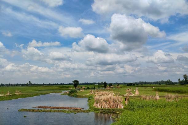 Rural green landscape view of mid day sunny blue sky overcast with beautiful white cloud
