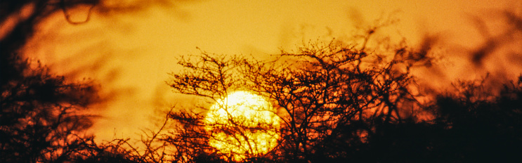 Africa an sunsets are spectacular. This is due, in part, to the large amount of dust in the atmosphere which helps to refract light from the sun and paint the sky in those brilliant orange, reds and yellows.