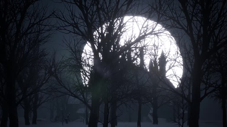 Happy halloween haunted  Spooky dark forest with fog  moon light