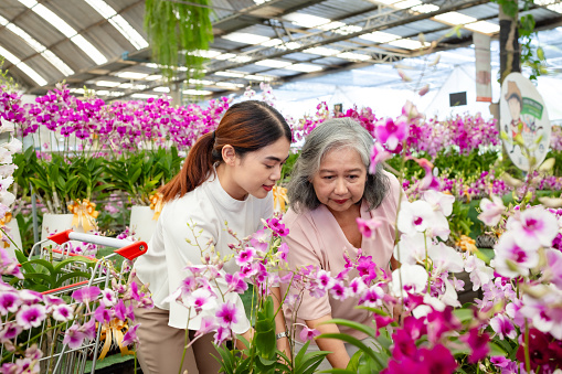 It provides an opportunity for quality time together. Elderly individuals often cherish moments spent with their adult children, and shopping for plants allows for conversation and bonding.Being around plants and nature can have a calming and therapeutic effect on people. It can reduce stress and promote a sense of peace and contentment.