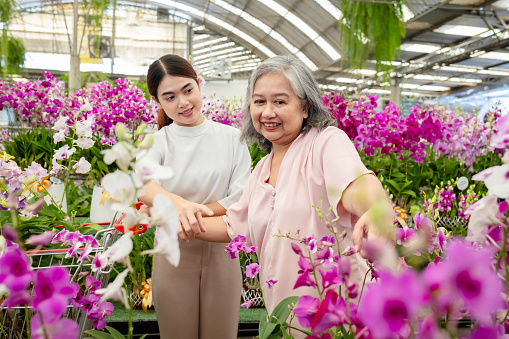 It provides an opportunity for quality time together. Elderly individuals often cherish moments spent with their adult children, and shopping for plants allows for conversation and bonding.Being around plants and nature can have a calming and therapeutic effect on people. It can reduce stress and promote a sense of peace and contentment.