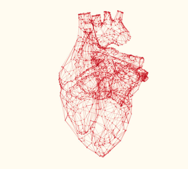 빨간색 다각형 인간의 심장은 검은색 배경에 격리되어 있으며, 3d 렌더링 스톡 사진