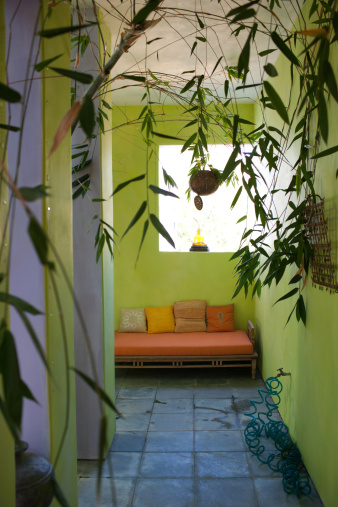 Andalusian patio potted plants flowers, at home