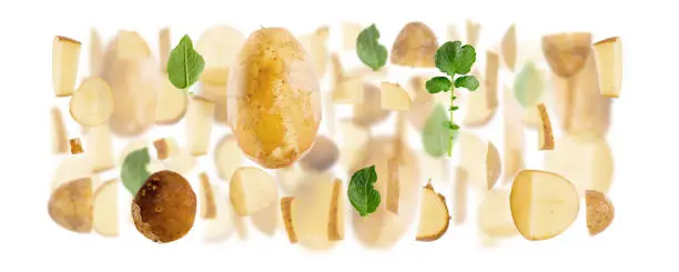 Abstract background made of Potato fruit pieces, slices and leaves isolated on white.