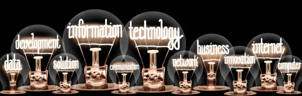 Large group of light bulbs with shining fibers in a shape of Information Technology, Internet, Data, Business and Development concept related words isolated on black background