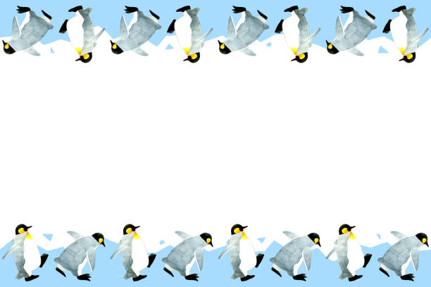 clipart-hintergrund eines niedlichen pinguins auf eis. aquarellbleistift handgezeichnete tierillustrationen. - penguin animal white background king penguin stock-grafiken, -clipart, -cartoons und -symbole