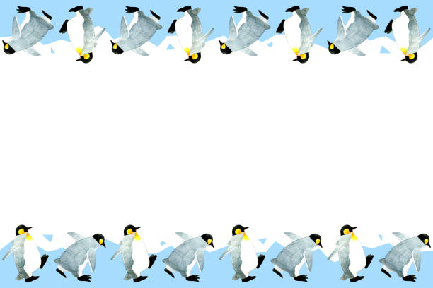 ilustrações de stock, clip art, desenhos animados e ícones de clip art background of a cute penguin on ice. watercolor pencil hand-drawn animal illustrations. - penguin animal white background king penguin